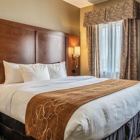 Comfort Suites Near Texas State University San Marcos Eksteriør billede