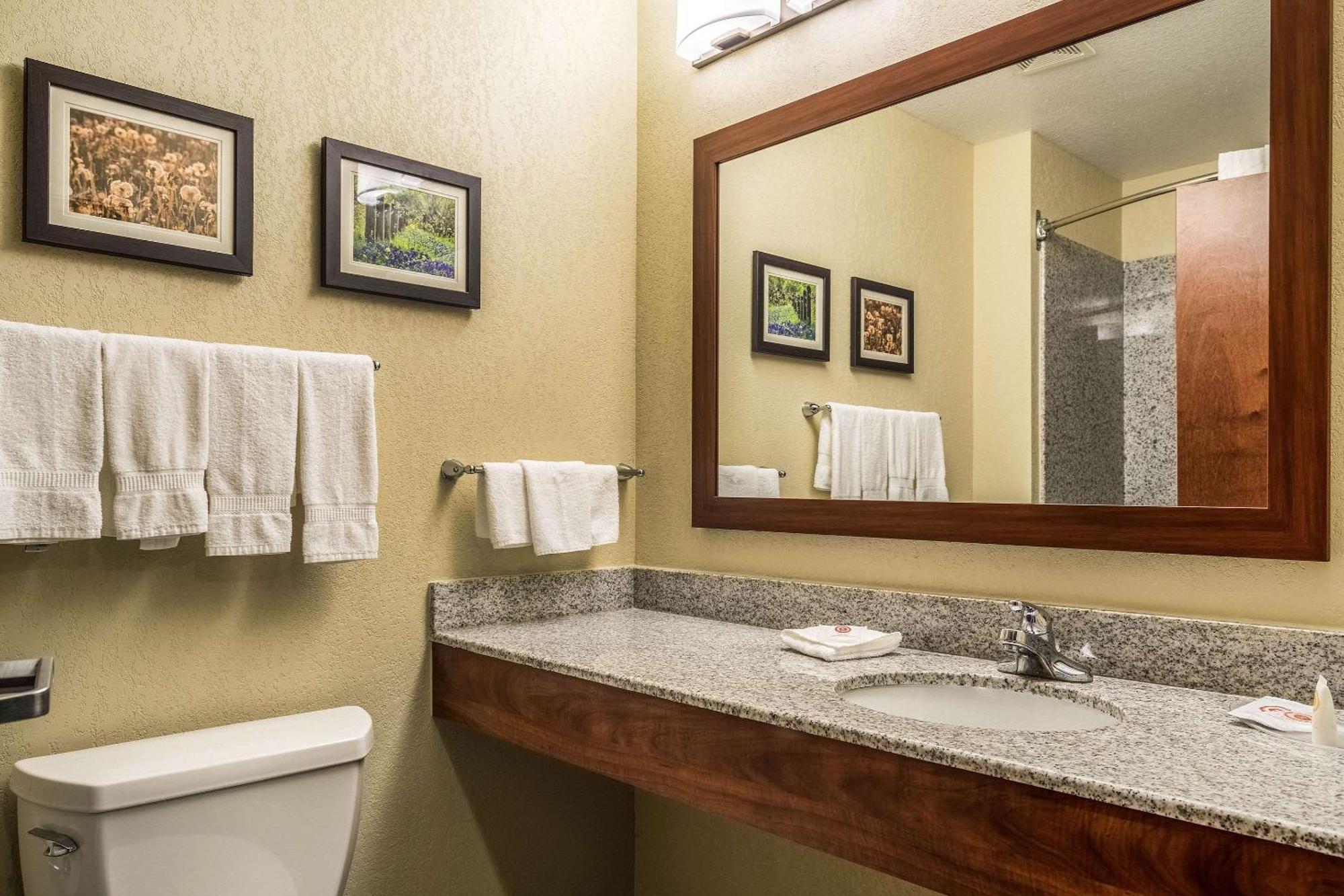 Comfort Suites Near Texas State University San Marcos Eksteriør billede